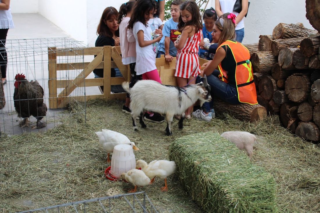 Granjita de Fiesta Party Rental en un evento en San Luis Potosí — foto 4