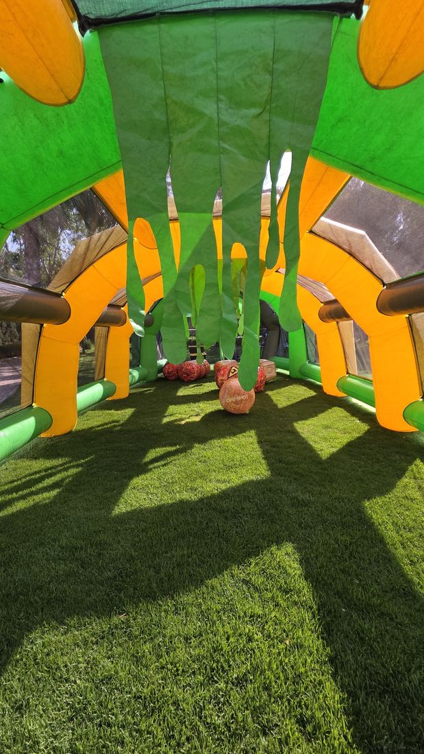 Inflables de Fiesta Party Rental en un evento en San Luis Potosí — foto 10
